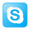 Skype icon